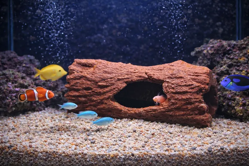 Aquarium Decoration - Custom underwater themed piece